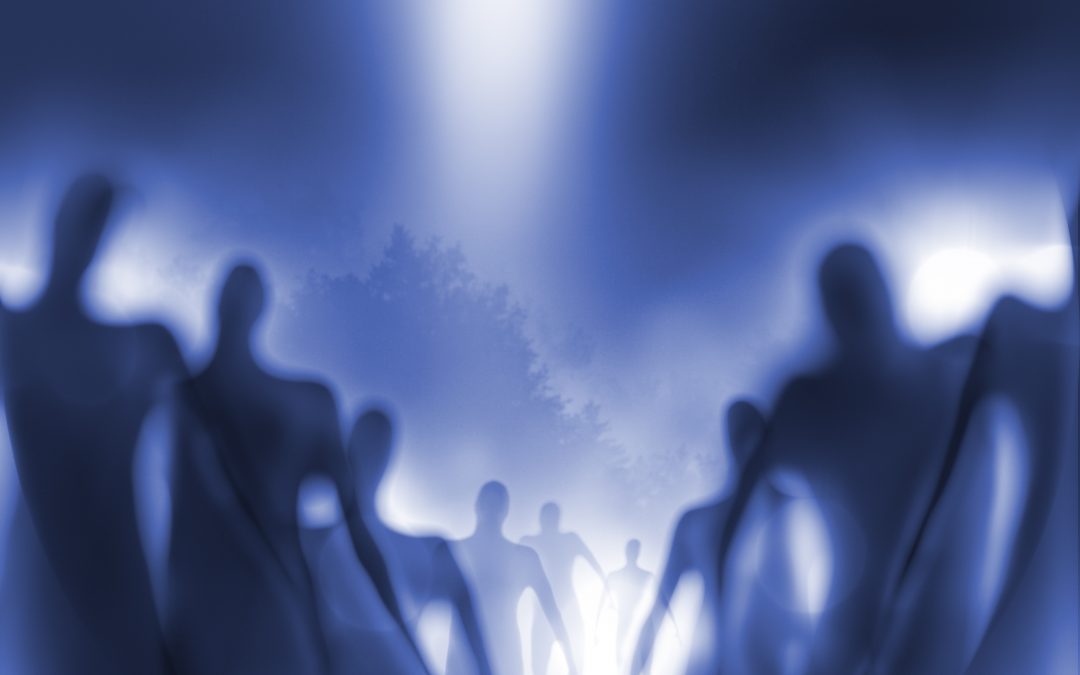 Best Buddhist Book Of The Dead And Afterlife: Chat With The Afterworld